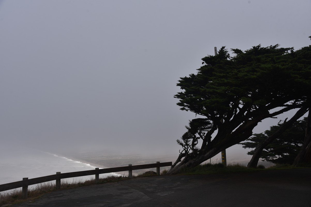 dsc_8773_fs.jpg
