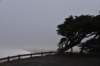 dsc_8773_fs_small.jpg