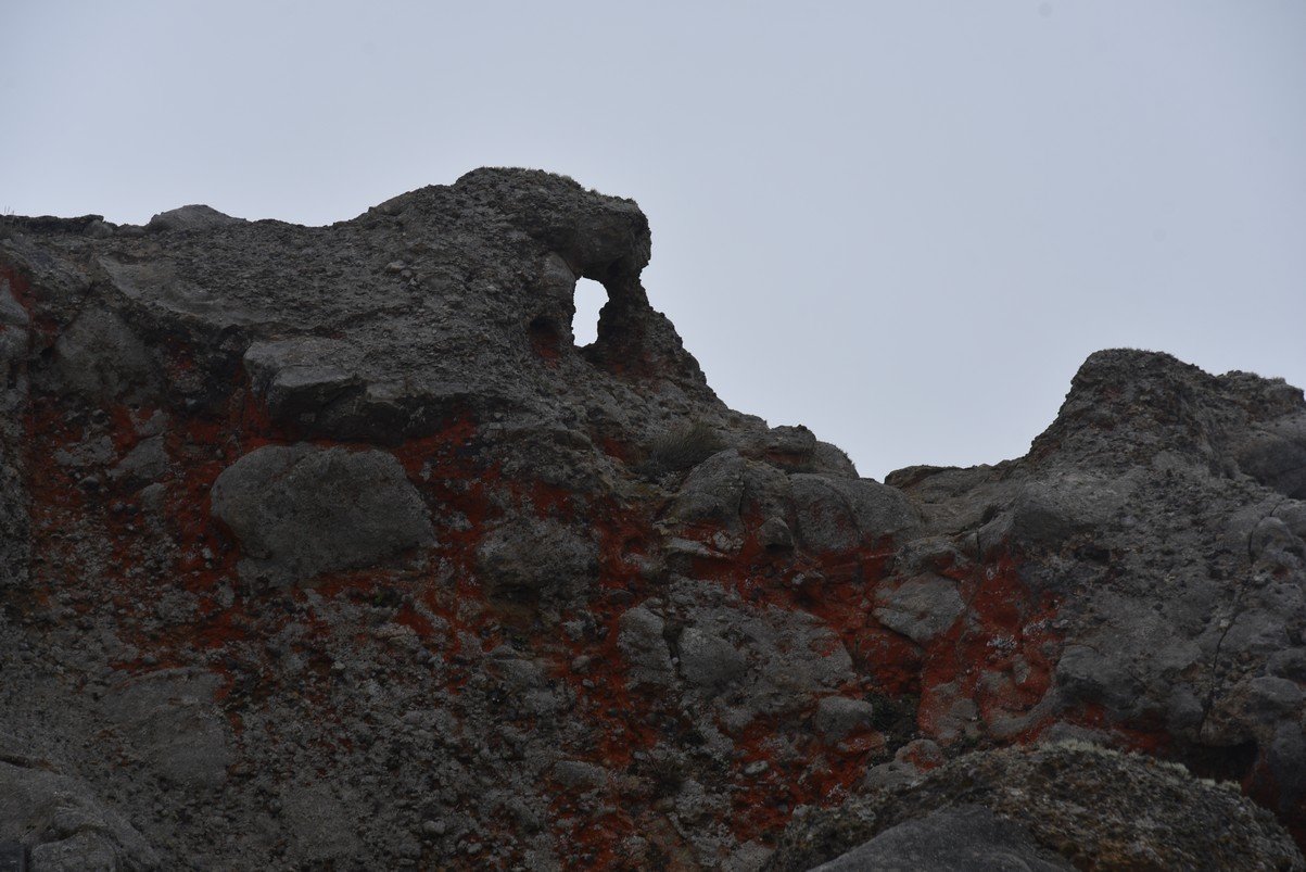 dsc_8778_fs.jpg
