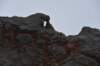 dsc_8778_fs_small.jpg