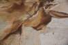 dsc_8787_fs_small.jpg