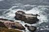 dsc_8791_fs_det_small.jpg