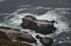 dsc_8791_fs_small.jpg