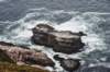 dsc_8792_fs_det_small.jpg