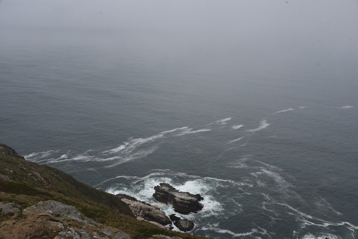 dsc_8796_fs.jpg
