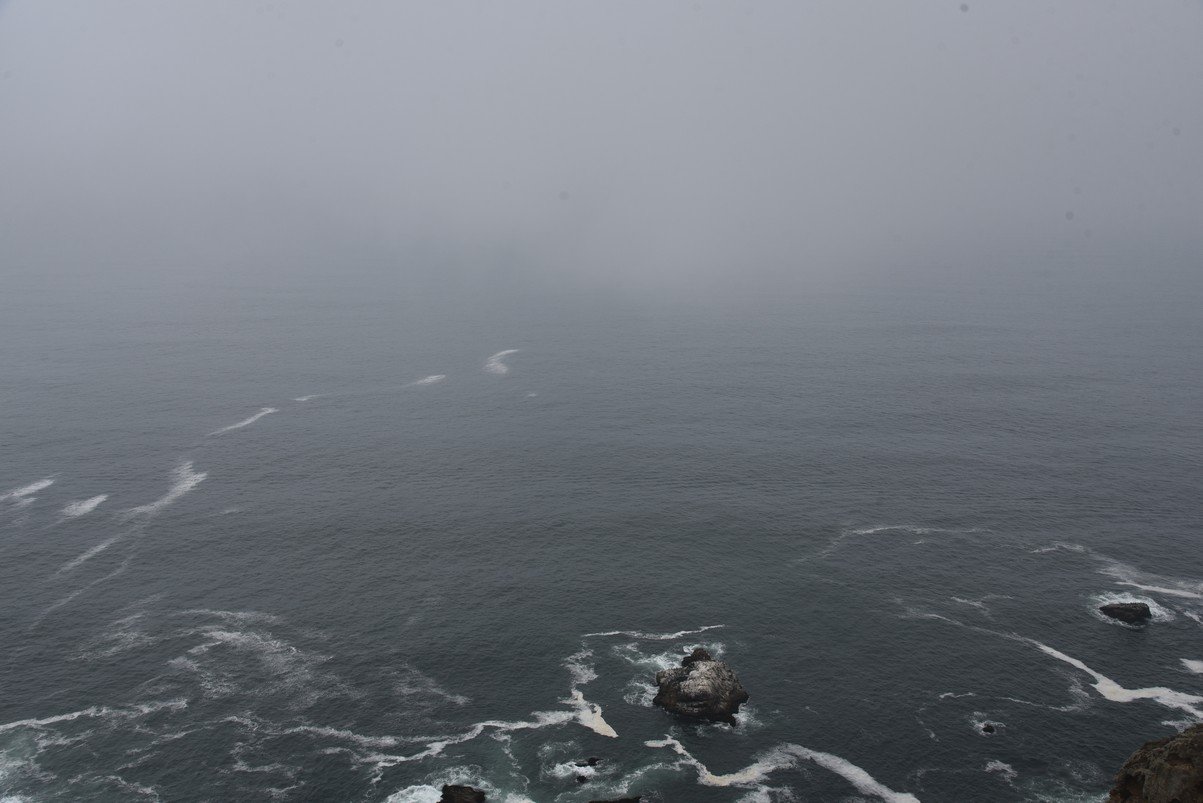 dsc_8798_fs.jpg