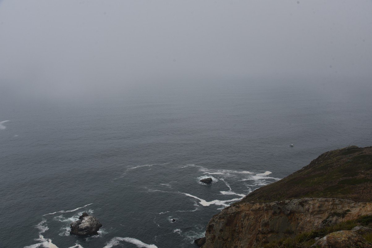 dsc_8799_fs.jpg