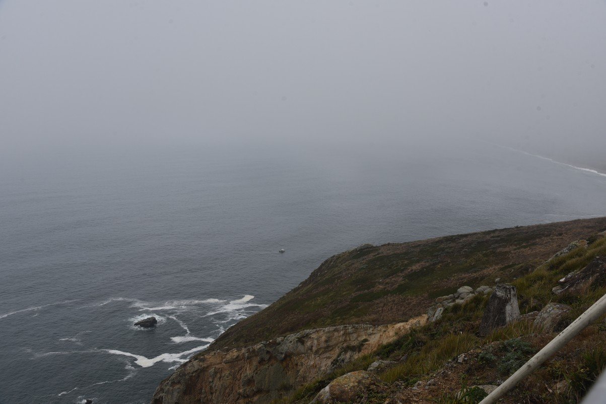 dsc_8800_fs.jpg