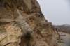 dsc_8801_fs_small.jpg