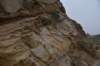 dsc_8806_fs_small.jpg