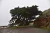 dsc_8809_fs_small.jpg