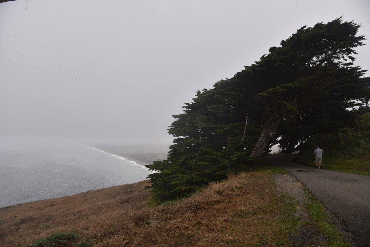dsc_8812_fs.jpg