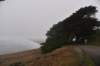 dsc_8812_fs_small.jpg