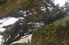 dsc_8814_fs_small.jpg
