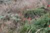 dsc_8817_fs_small.jpg