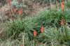 dsc_8818_fs_small.jpg