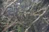 dsc_8819_fs_small.jpg