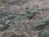 dsc_8821_fs_small.jpg