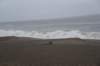 dsc_8828_fs_small.jpg