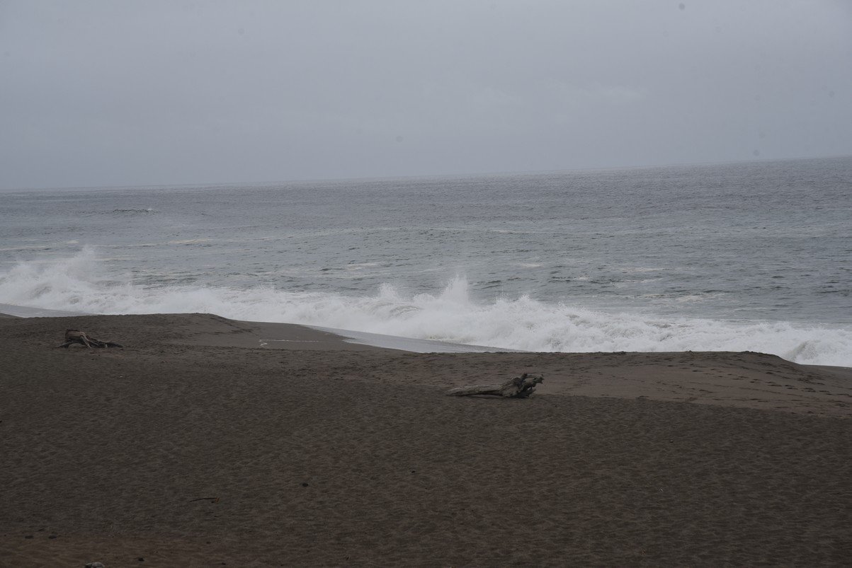 dsc_8829_fs.jpg
