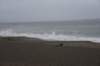 dsc_8829_fs_small.jpg