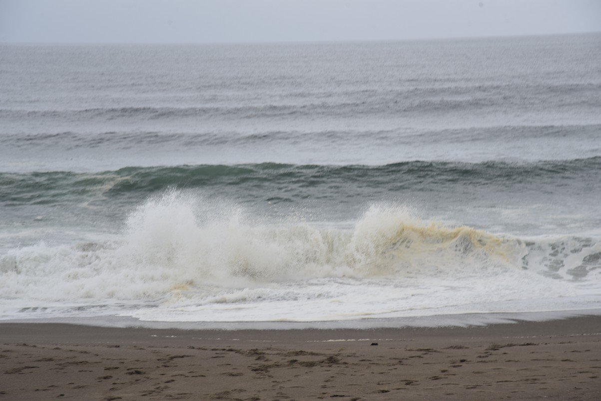 dsc_8830_fs.jpg