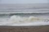 dsc_8830_fs_small.jpg