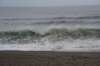 dsc_8831_fs_small.jpg