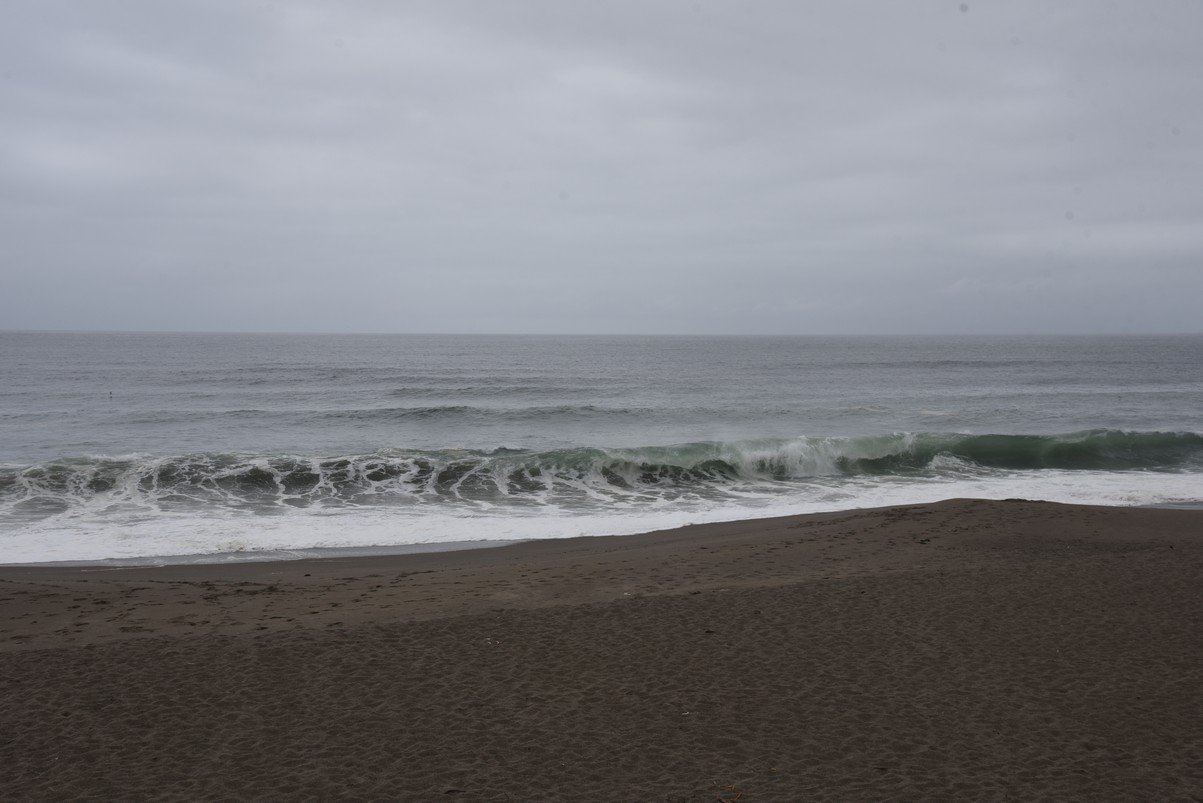 dsc_8833_fs.jpg