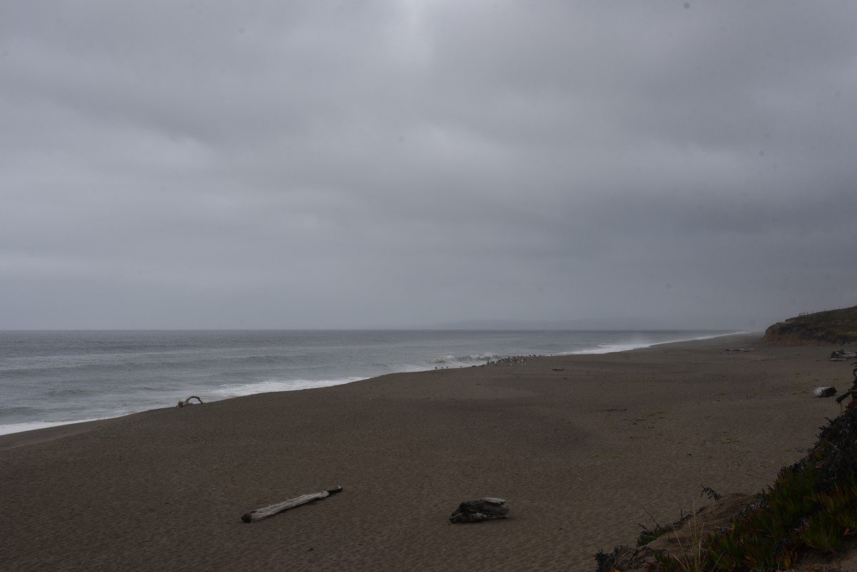 dsc_8834_fs.jpg
