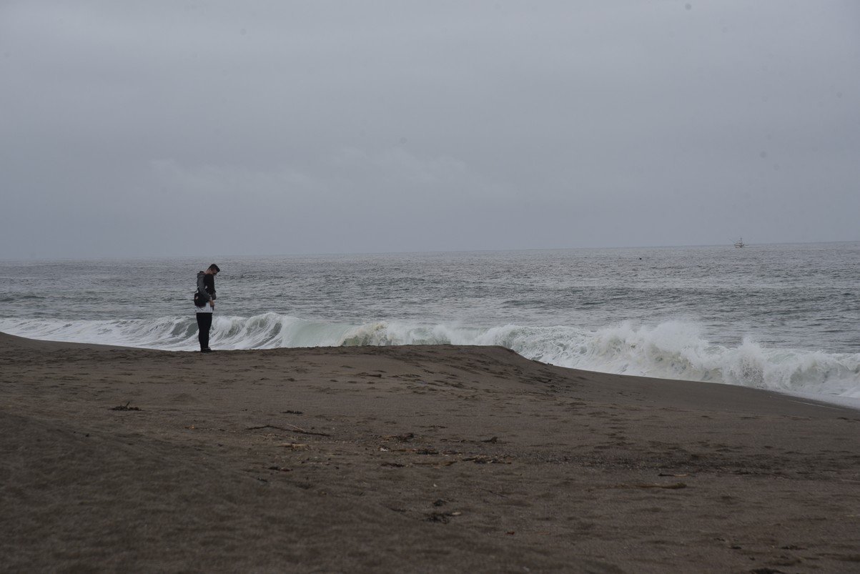 dsc_8838_fs.jpg