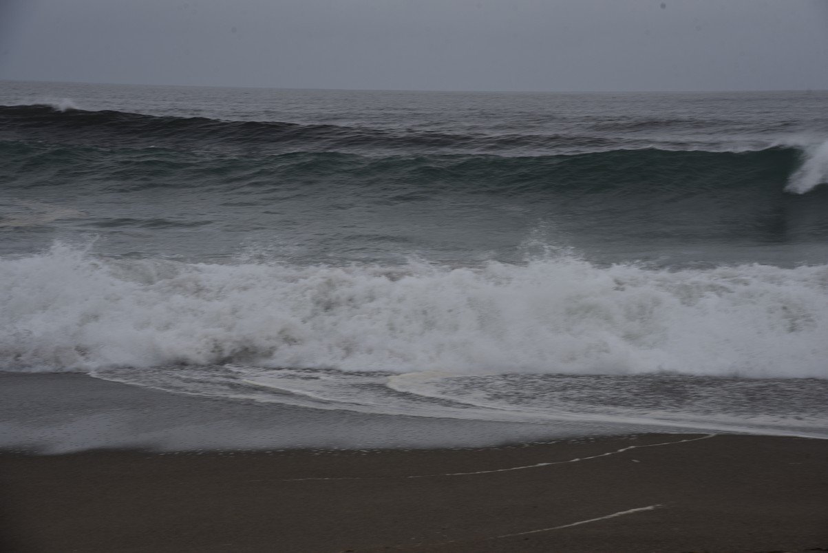 dsc_8840_fs.jpg
