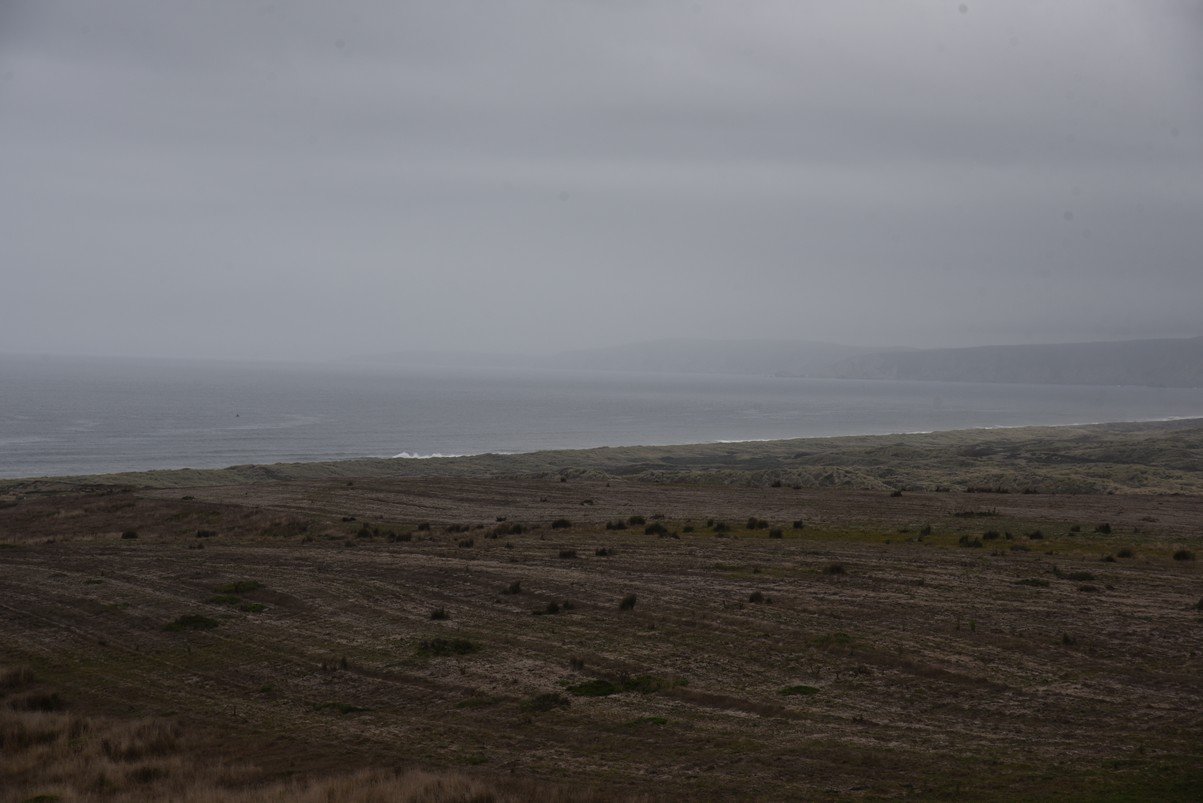 dsc_8843_fs.jpg