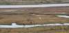 dsc_8847_fs_small.jpg