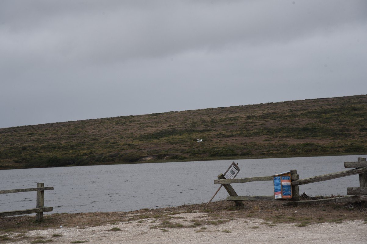 dsc_8848_fs.jpg