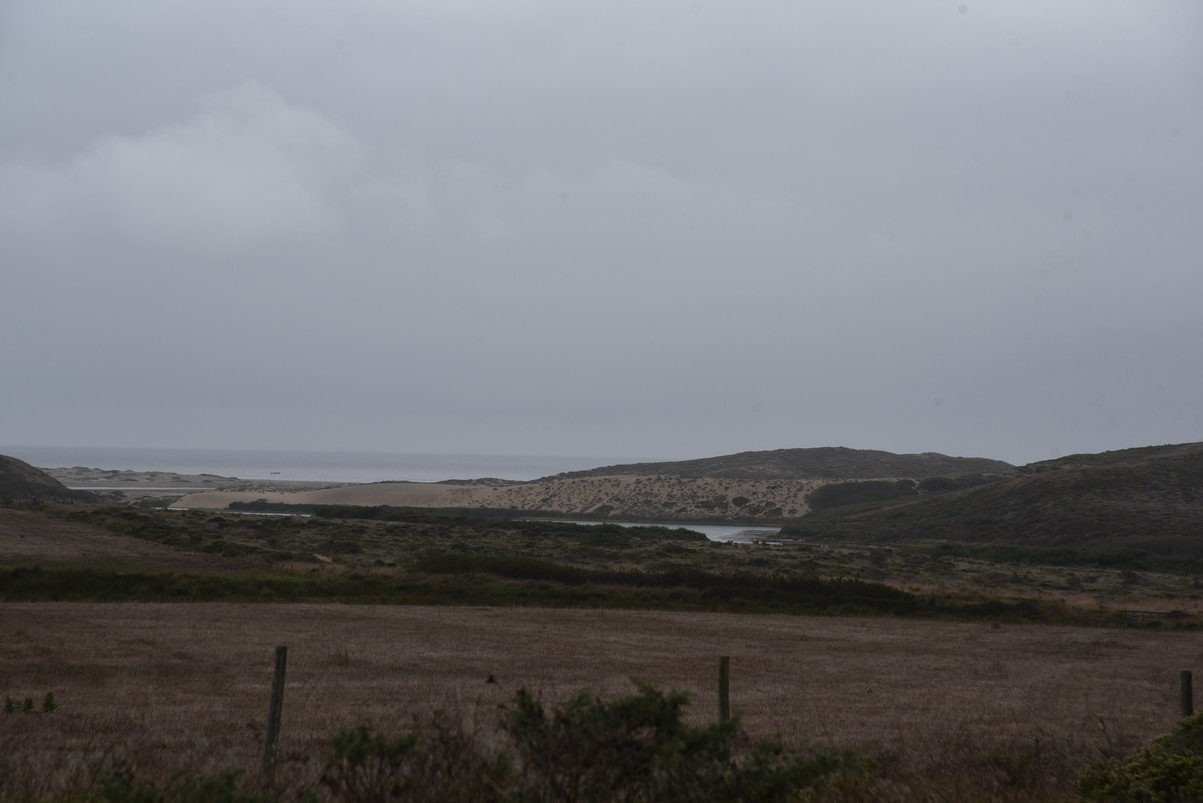 dsc_8858_fs.jpg