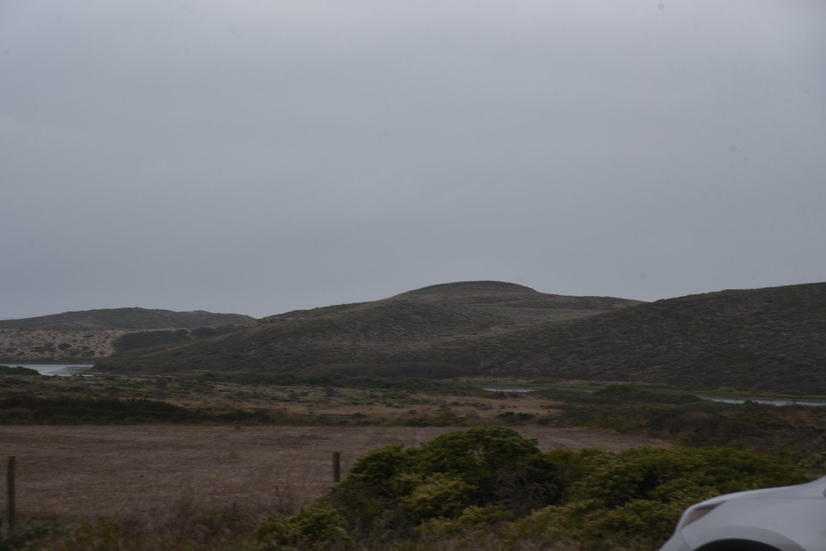 dsc_8859_fs.jpg