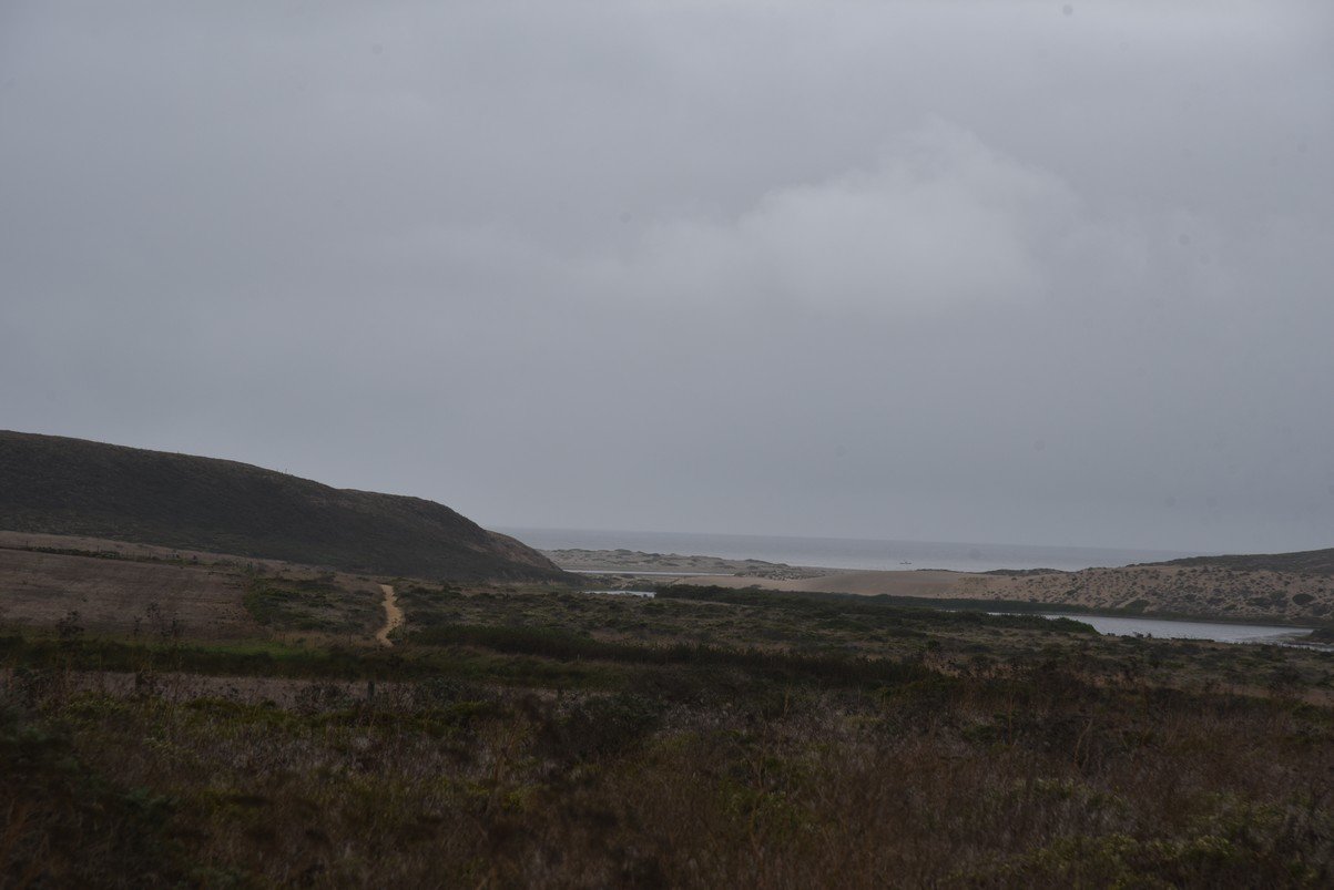 dsc_8861_fs.jpg