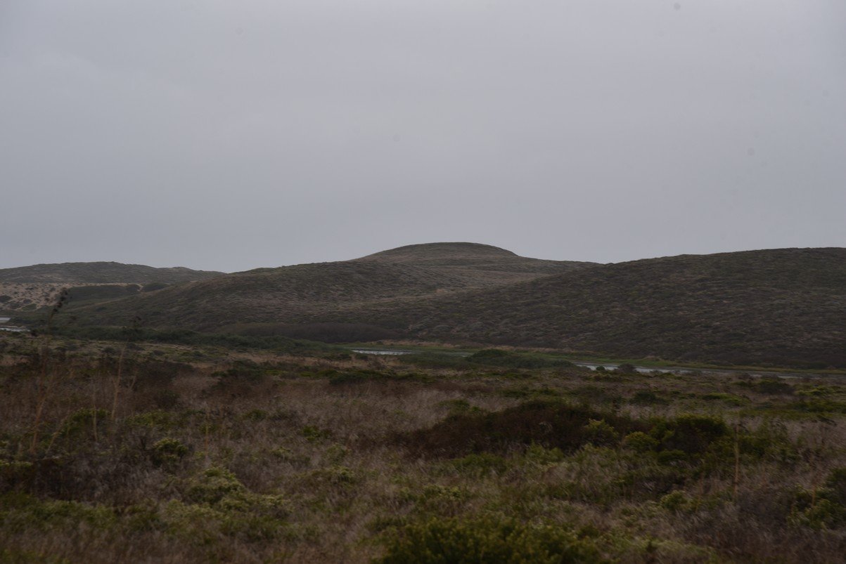 dsc_8863_fs.jpg