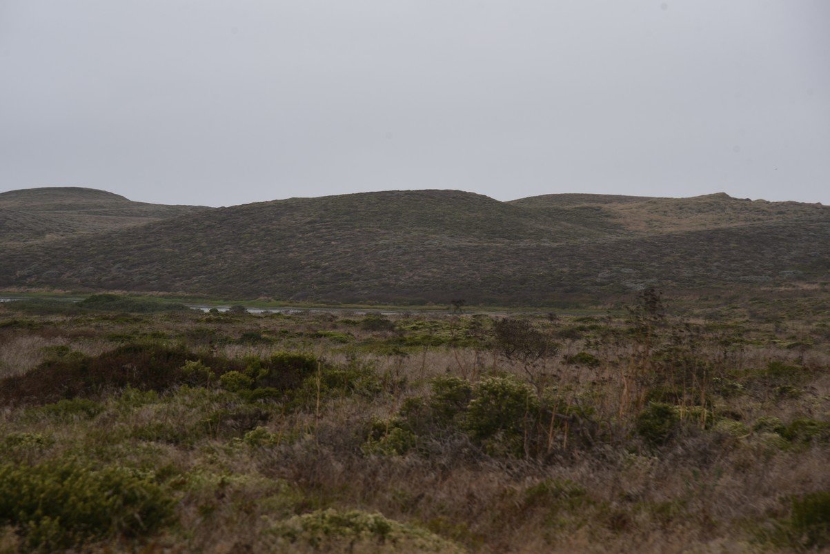 dsc_8864_fs.jpg