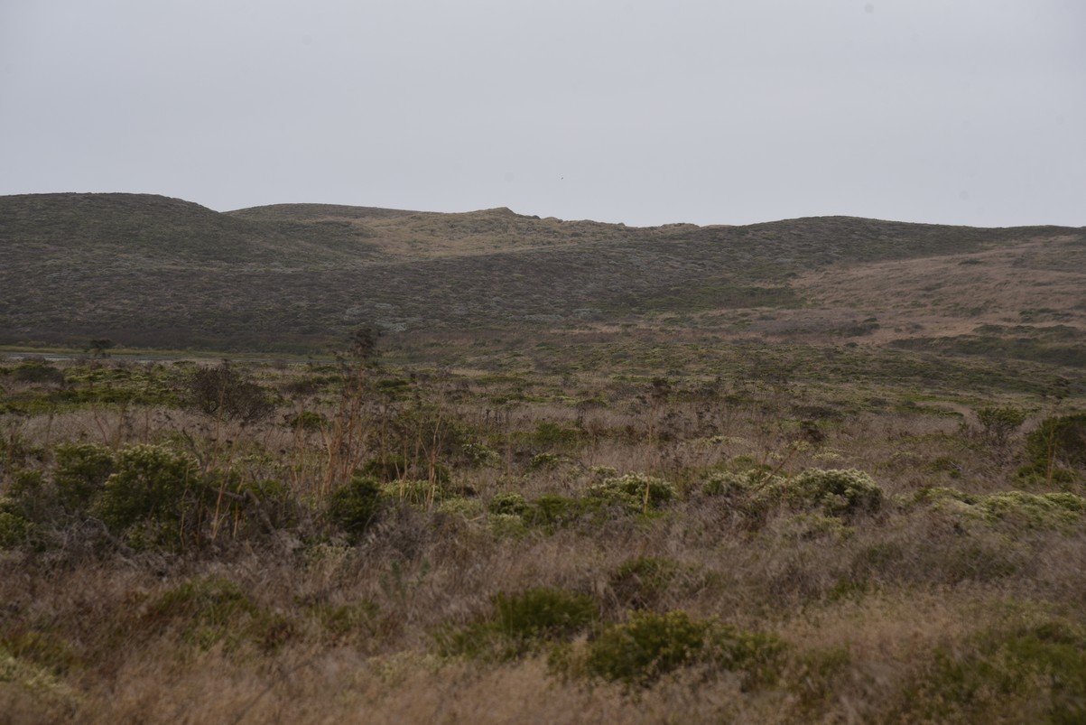 dsc_8865_fs.jpg