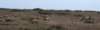 dsc_8872_fs_small.jpg