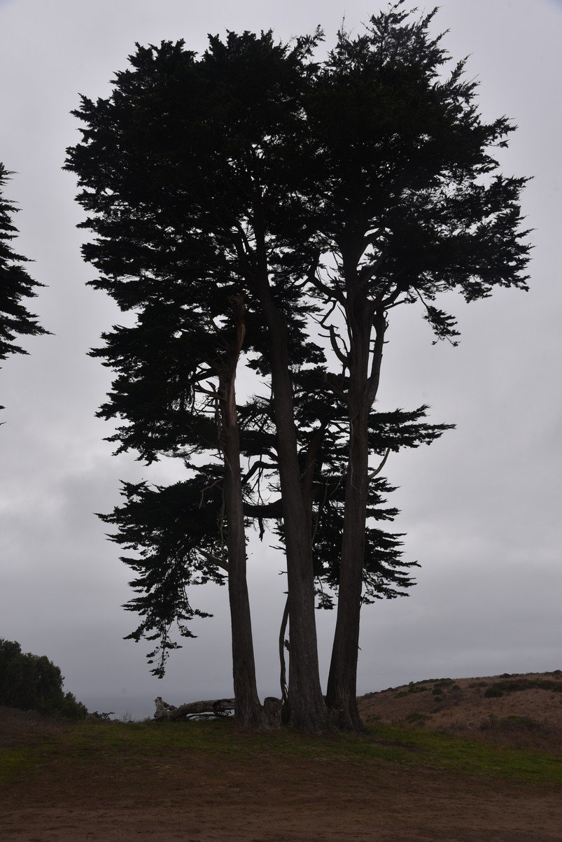 dsc_8873_fs.jpg