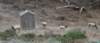 dsc_8876_fs_small.jpg