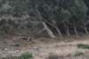 dsc_8877_fs_small.jpg