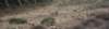 dsc_8878_fs_small.jpg