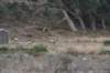 dsc_8881_fs_small.jpg