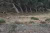 dsc_8882_fs_small.jpg