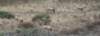 dsc_8883_fs_small.jpg