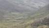dsc_8888_fs_small.jpg